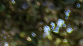 Irán reafirma que no está implicado en ataque contra Benjamín Netanyahu