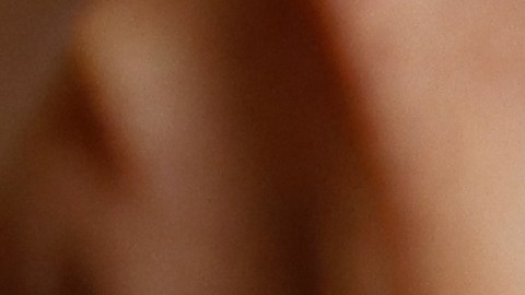 Según las investigaciones preliminares, el brote de E. Coli puede tener origen en las cebollas.