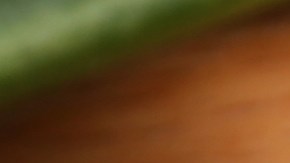 La empresa informó que se trató de un pequeño lote.