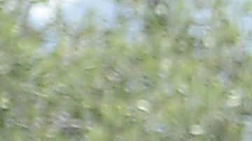 Ciclismo Colombia.