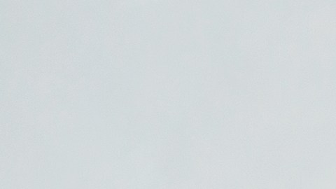 Conoce los condimentos que no debes conservar después de la fecha de vencimiento.
