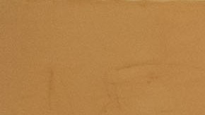 En este grupo de premiados coexisten diversas historias de migración y superación.