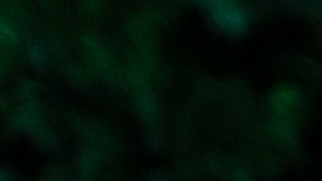 El proyecto estará abierto al público hasta el 30  de noviembre y fue creado por los productores Jeffrey Seller  e Iñaki Fernández, quien ya ha trabajado previamente en la creación de un sendero de luces inspirado en el cortometraje de Tim Burton “Labyrinth” en España