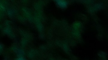 El proyecto estará abierto al público hasta el 30  de noviembre y fue creado por los productores Jeffrey Seller  e Iñaki Fernández, quien ya ha trabajado previamente en la creación de un sendero de luces inspirado en el cortometraje de Tim Burton “Labyrinth” en España