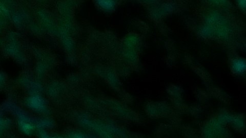 El proyecto estará abierto al público hasta el 30  de noviembre y fue creado por los productores Jeffrey Seller  e Iñaki Fernández, quien ya ha trabajado previamente en la creación de un sendero de luces inspirado en el cortometraje de Tim Burton “Labyrinth” en España