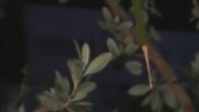 Daniella Navarro, actriz venezolana.