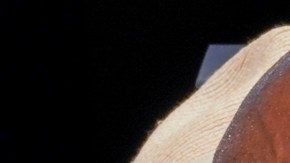 Exgobernador de Nueva York David Paterson y su hijastro sufren ataque en Manhattan