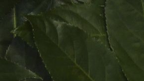 David Beckham y Victoria Beckham tienen una impresionante cartera de propiedades.