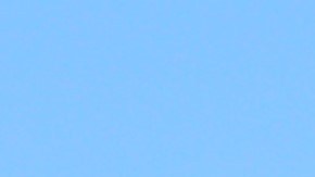 Chandler,,Arizona,-,Aug,02,2024:,Dollar,Tree,,Inc.,Is