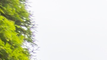 Juego de patio en oferta en Amazon