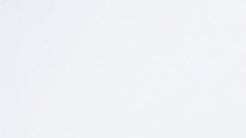 Dollar Tree se caracteriza por ofrecer productos a un precio competitivo en el mercado.