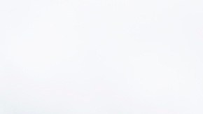 Organizador básico en la tienda Dollar Tree en $1.25 dólares