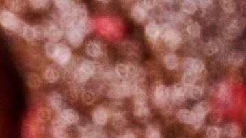 Las galletas de Subway estarán disponibles desde el 1 de noviembre hasta el 31 de diciembre .