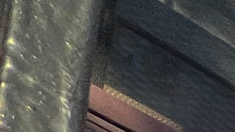 Recuerdan a electores que hay maneras de denunciar irregularidades en NY