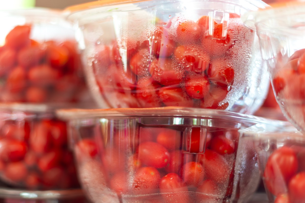 Cuando los tomates están maduros y no se van a consumir de inmediato se puede llevar al refrigerador, congelarlos o deshidratarlos para alargar el tiempo de vida útil.