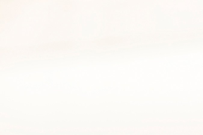 Las esponjas acumulan bacterias y gérmenes.