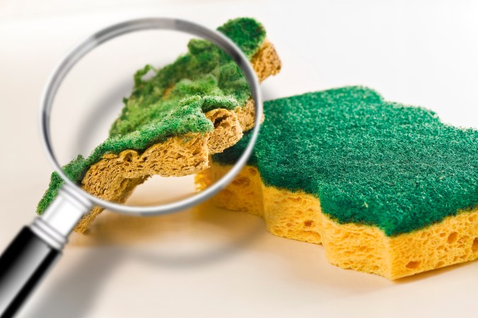 Las esponjas acumulan bacterias y gérmenes.
