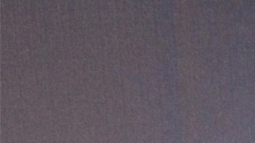 Francisca, presentadora de Despierta América.