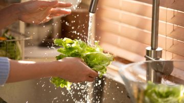 Cuando se guarda la lechuga de la manera adecuada puede durar más tiempo.