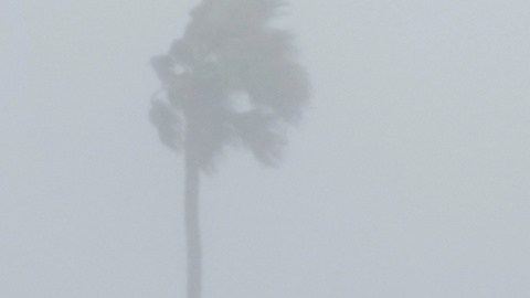 Cerraron las plantas de agua residuales cuando el huracán Milton rebasó los vientos de 100 mph.