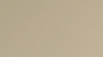 Vianca Rodríguez - campaña de Trump