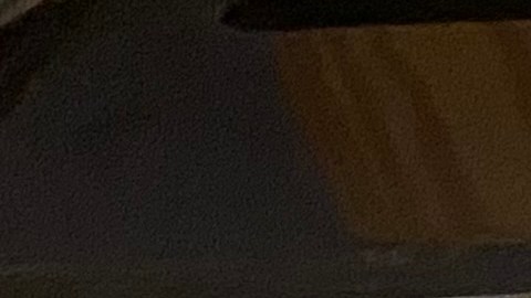 Nueva York se alista para el voto anticicipado de las elecciones presidenciales 2024.