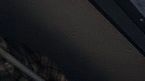 Neoyorquinos en su labor de tocar puertas en estas elecciones.