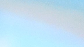 El entrenador es acusado de haber generado fuertes daños a una vivienda en Guadalajara.