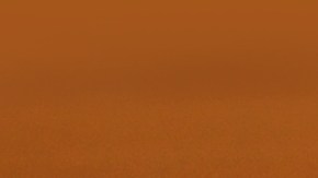 Una combinación poderosa, llena de antioxidantes y biocompuestos que benefician la salud.