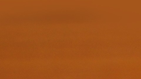 Una combinación poderosa, llena de antioxidantes y biocompuestos que benefician la salud.