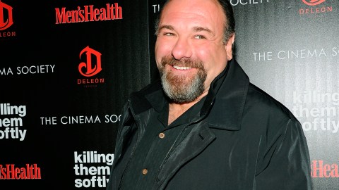 James Gandolfini murió en 2013 a los 51 años.