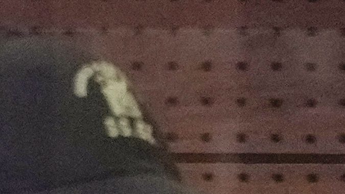 Exfutbolista chileno Jorge Valdivia es arrestado por abuso sexual