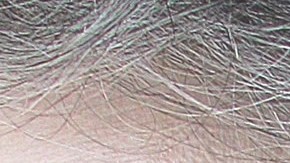 Juan Osorio y Eva Daniela.