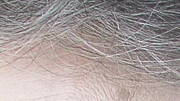 Juan Osorio y Eva Daniela.