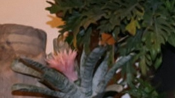 Julián Gil y Valeria Marín.