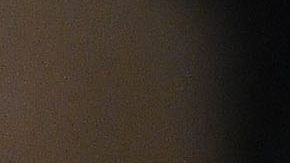 Julio César Chávez.