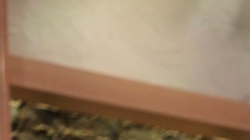 Lili Estefan, presentadora de televisión.