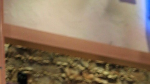 Lili Estefan, presentadora de televisión.