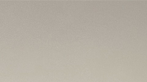 Lisa Snyder, de 41 años, pasará el resto de su vida en la cárcel.