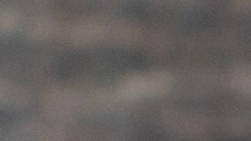 Al revisar el valor nutricional encontramos que un porción de 100 gramos de maní aporta, entre 25 y 30 gramos de proteína .