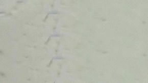 Maribel Guardia y su nuera Imelda Tuñón.