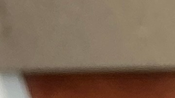 El FSIS no identificó la carne de res como fuente del brote, por lo que las sospechas siguen en las cebollas.