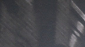 Nicola Porcella, actor peruano.