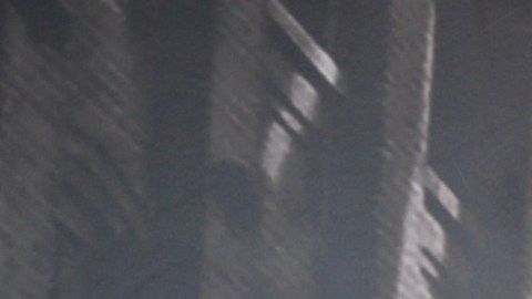 Nicola Porcella, actor peruano.