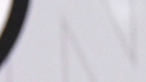 Ninel Conde, actriz mexicana.