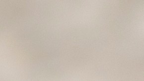 El orégano es una hierba medicinal llena de compuestos bioactivos con múltiples propiedades para la salud.