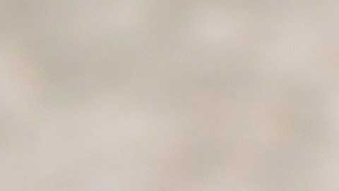 El orégano es una hierba medicinal llena de compuestos bioactivos con múltiples propiedades para la salud.