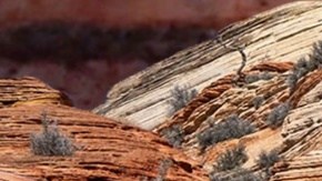 La víctima practicaba barranquismo en el Parque Nacional Zion cuando se cayó.