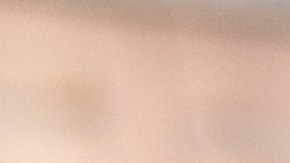 Los productos sujetos a retirada son de origen cárnicos y avícolas listos para consumir de la marca BrucePac que se produjeron entre el 19 de junio de 2024 y el 8 de octubre de 2024.