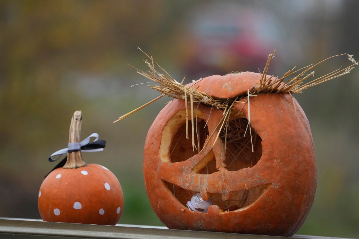 Toms River: la mejor ciudad para disfrutar de Halloween por sus festivales, según expertos